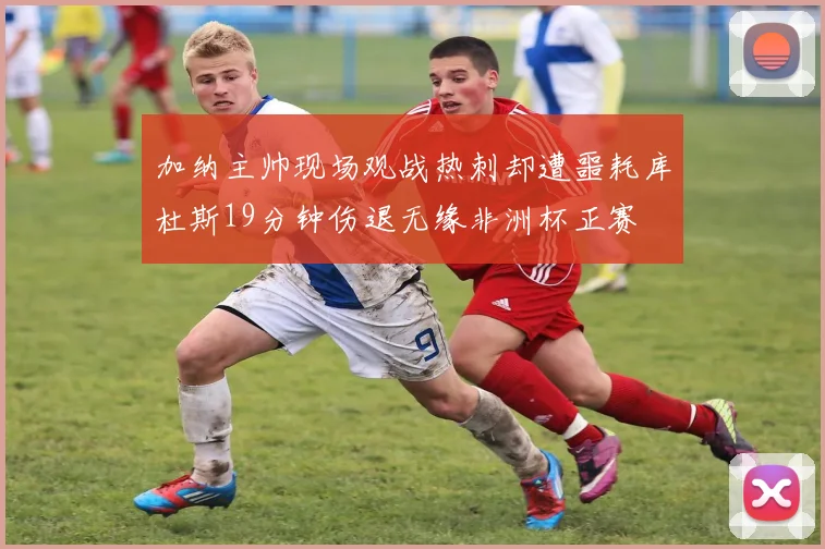 加纳主帅现场观战热刺却遭噩耗库杜斯19分钟伤退无缘非洲杯正赛