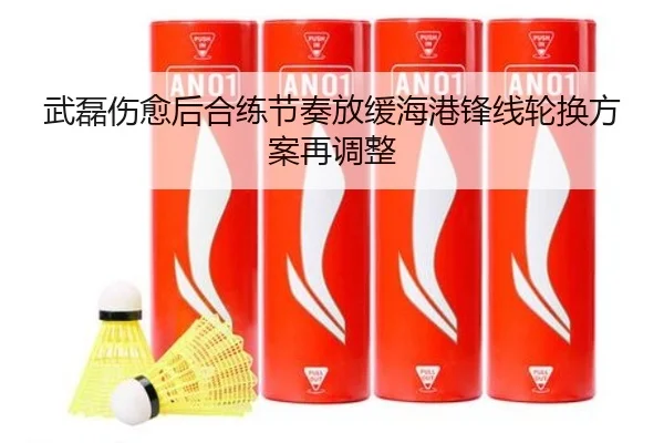 武磊伤愈后合练节奏放缓海港锋线轮换方案再调整